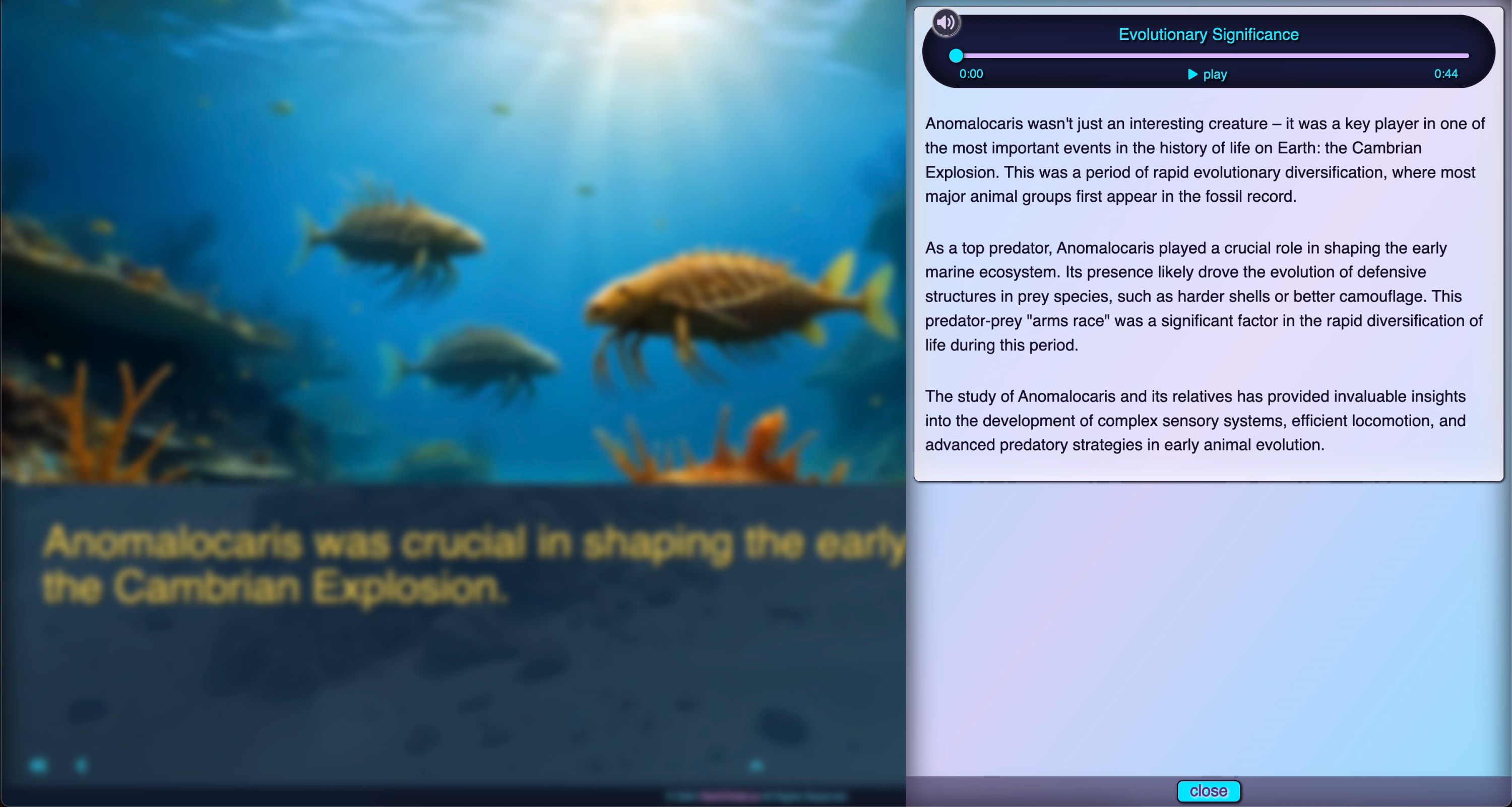 Anomalocaris Evolutionary Details Drawer