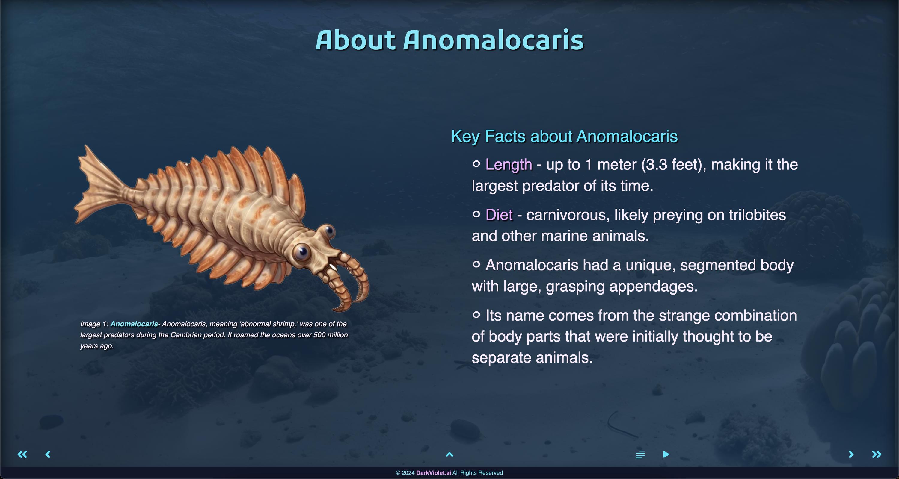 Anomalocaris Example Slide