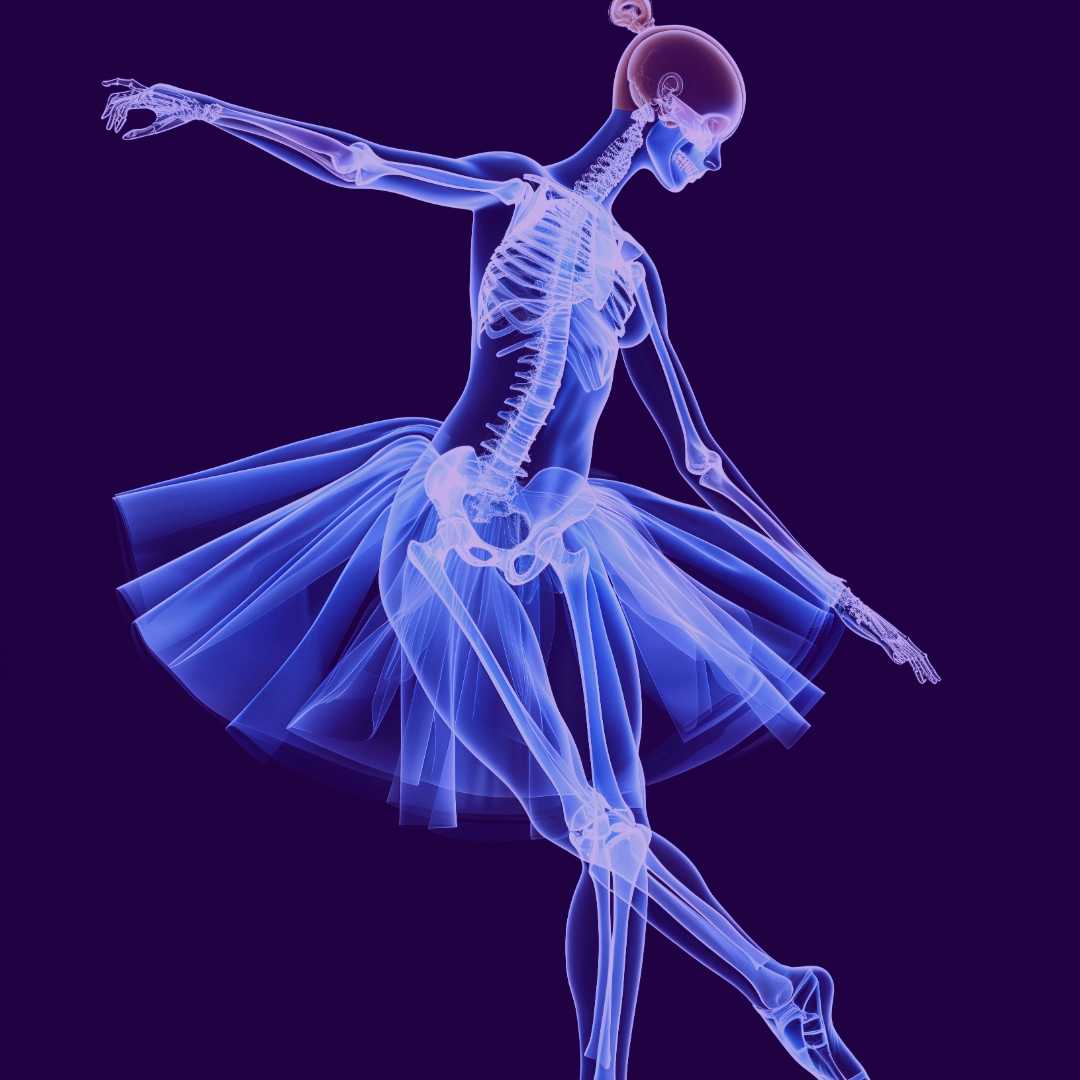 Anatomy and Physiology